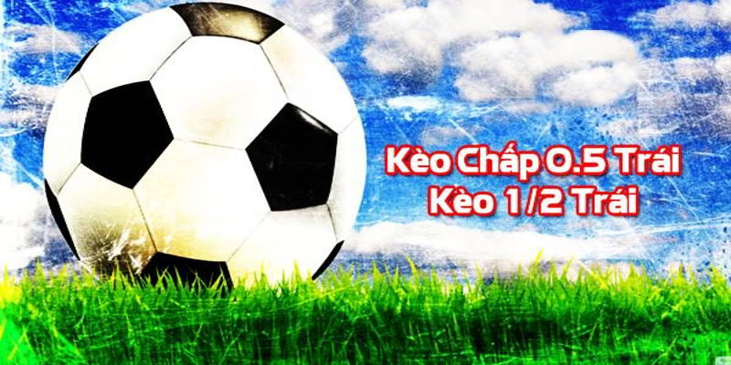 Giới thiệu tỷ lệ handicap 0.5 kèo châu Á là gì